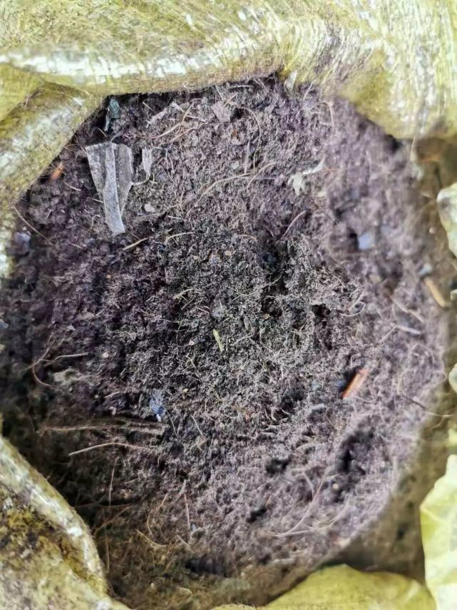 免费资料正版资料大全