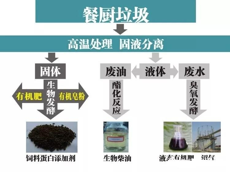免费资料正版资料大全
