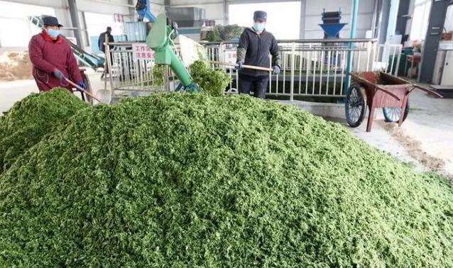 免费资料正版资料大全
