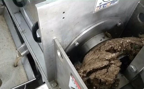 免费资料正版资料大全