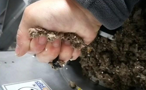 免费资料正版资料大全
