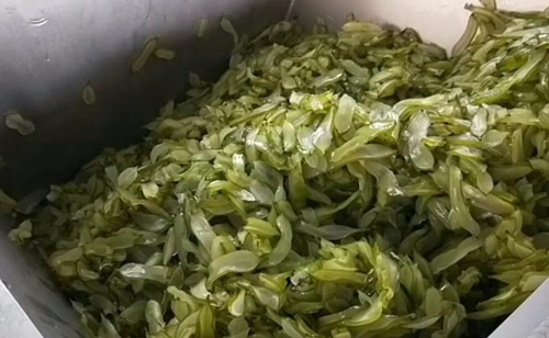 免费资料正版资料大全