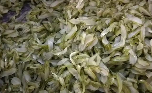 免费资料正版资料大全