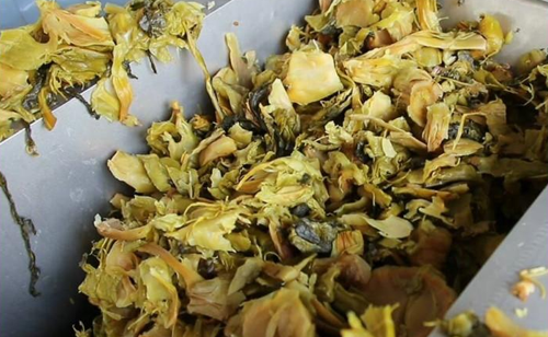 免费资料正版资料大全