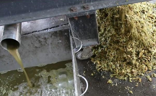 免费资料正版资料大全
