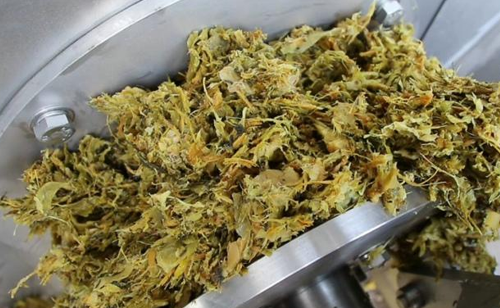 免费资料正版资料大全