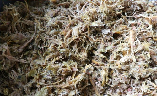 免费资料正版资料大全