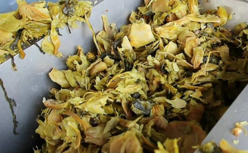 免费资料正版资料大全