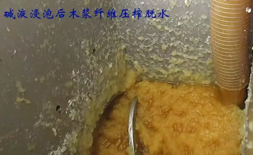 免费资料正版资料大全
