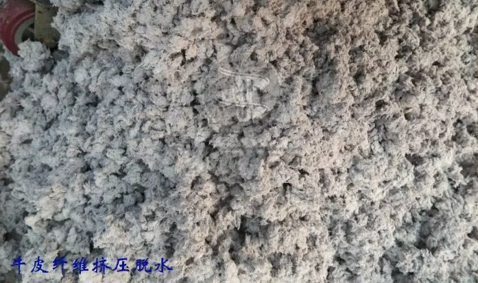 免费资料正版资料大全