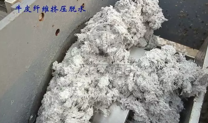 免费资料正版资料大全