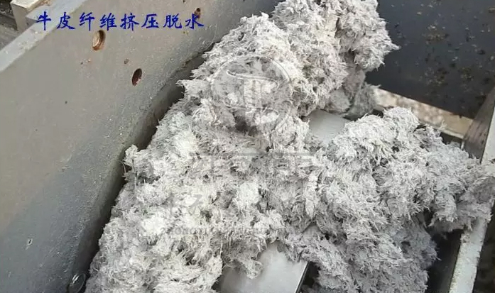 免费资料正版资料大全