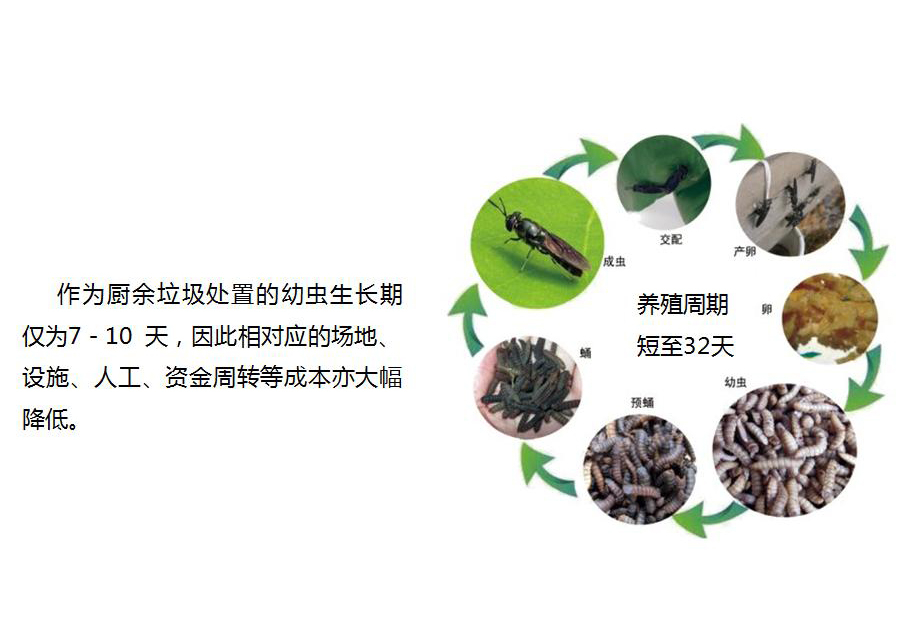 免费资料正版资料大全