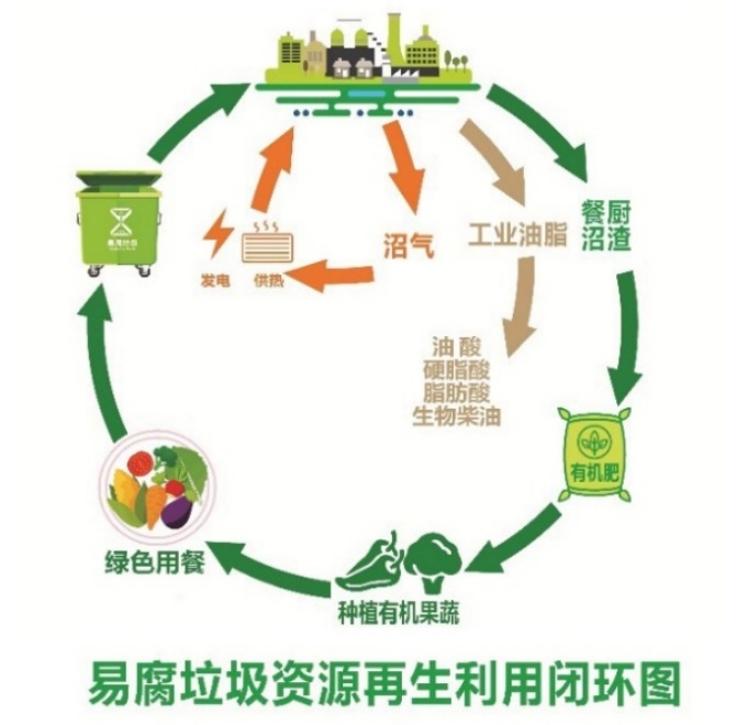 免费资料正版资料大全