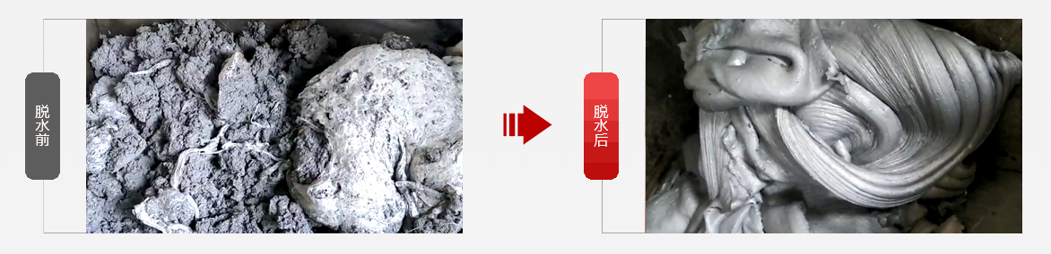 免费资料正版资料大全