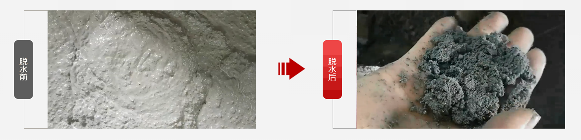 免费资料正版资料大全