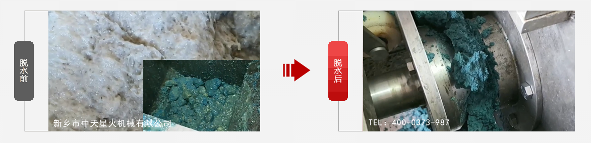 免费资料正版资料大全