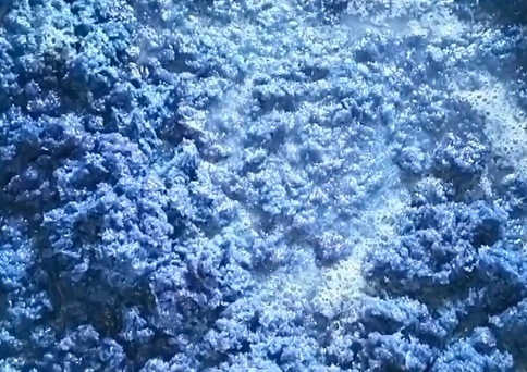免费资料正版资料大全