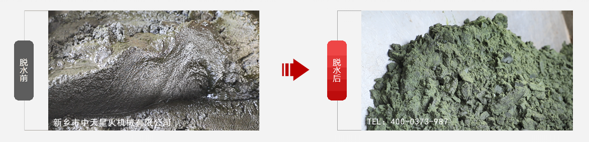 免费资料正版资料大全
