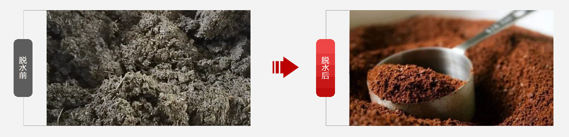 免费资料正版资料大全