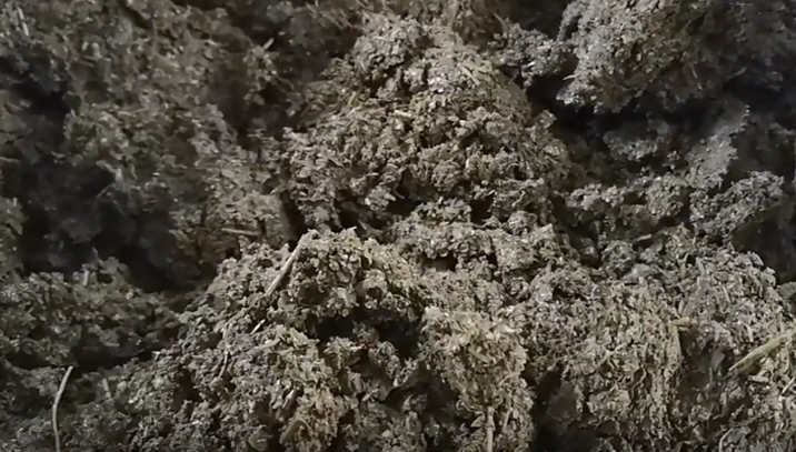 免费资料正版资料大全