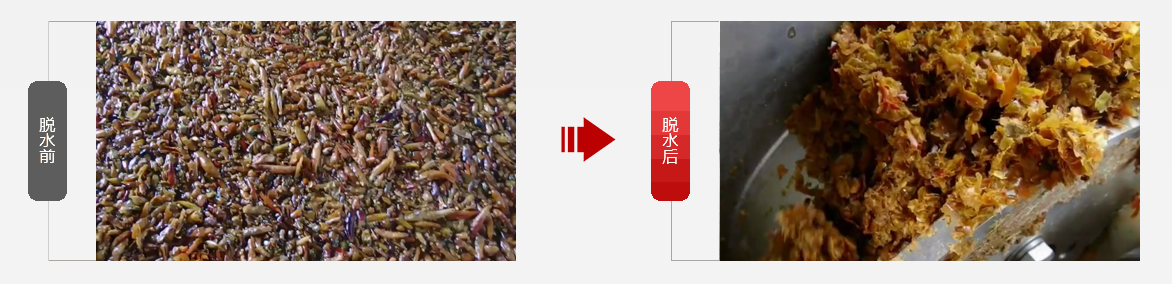 免费资料正版资料大全