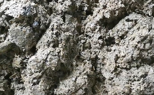 免费资料正版资料大全