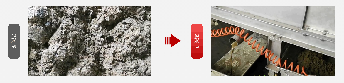 免费资料正版资料大全