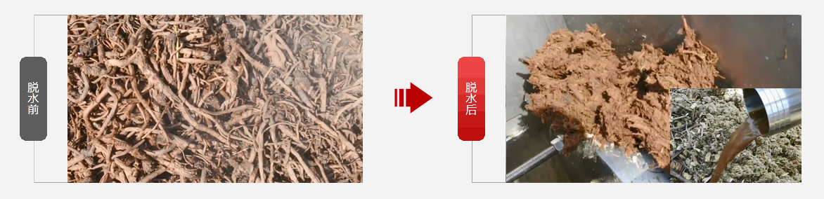 免费资料正版资料大全