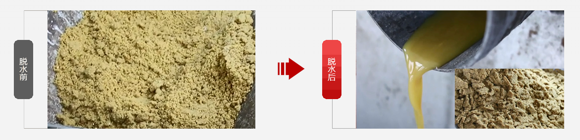 免费资料正版资料大全