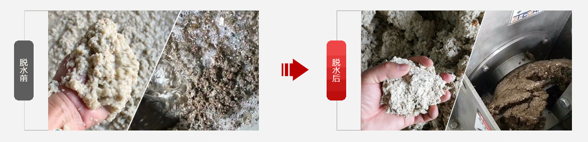 免费资料正版资料大全