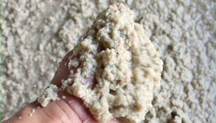 免费资料正版资料大全
