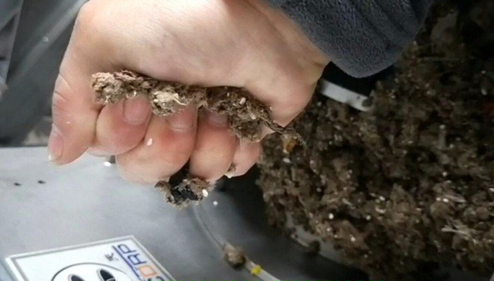 免费资料正版资料大全