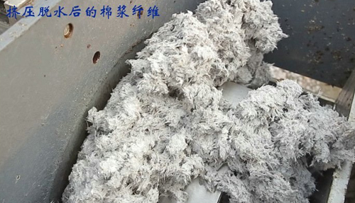 免费资料正版资料大全