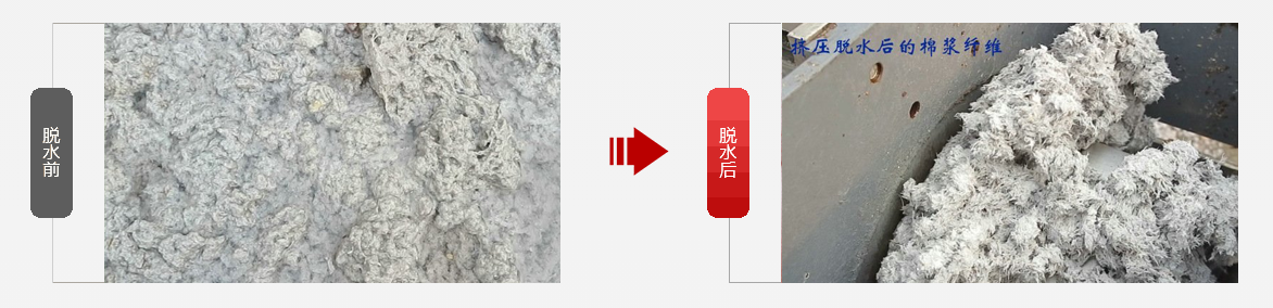 免费资料正版资料大全