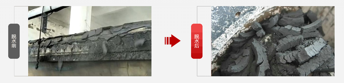 免费资料正版资料大全