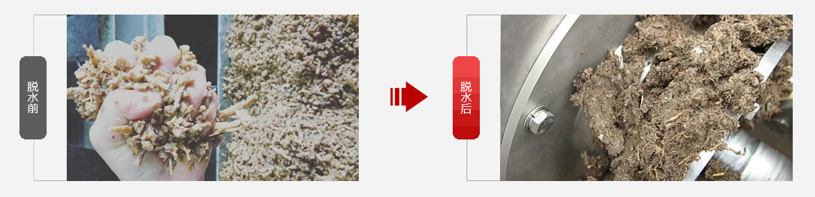免费资料正版资料大全