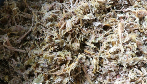 免费资料正版资料大全