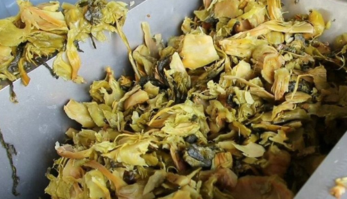 免费资料正版资料大全