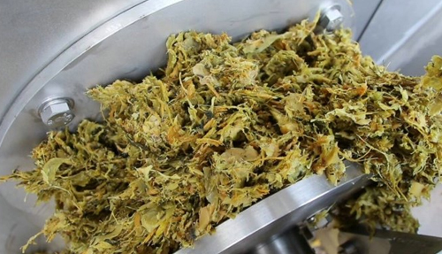 免费资料正版资料大全