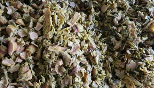 免费资料正版资料大全