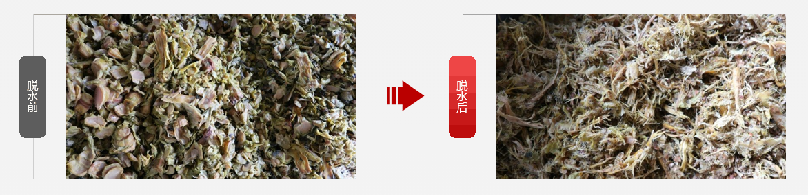 免费资料正版资料大全