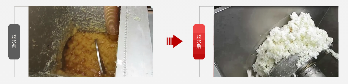 免费资料正版资料大全
