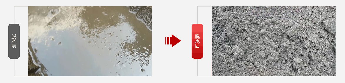 免费资料正版资料大全