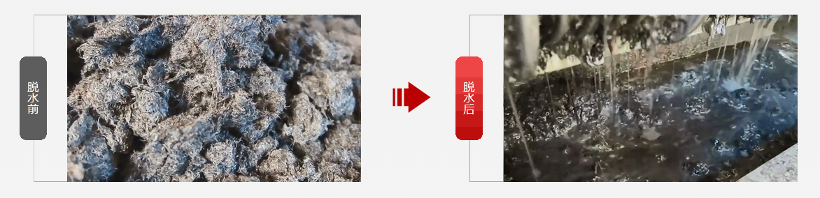 免费资料正版资料大全