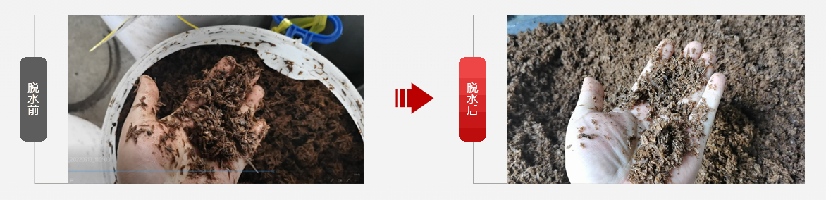 免费资料正版资料大全