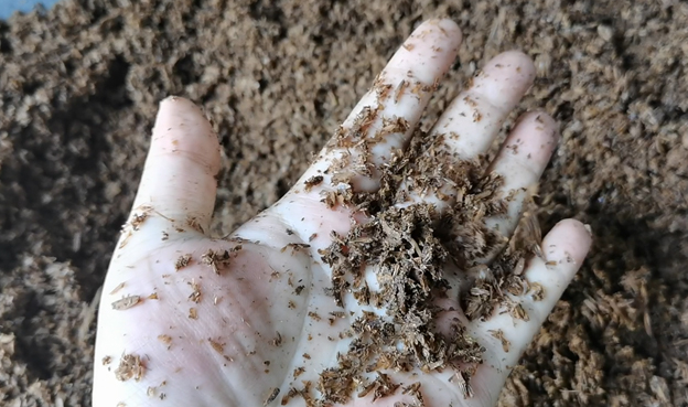 免费资料正版资料大全